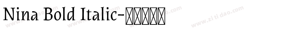 Nina Bold Italic字体转换